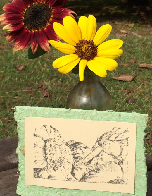 Handmade Paper Note Cards