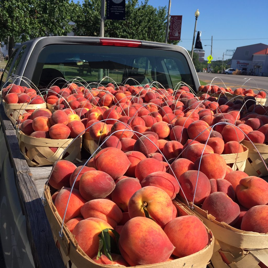 The peach farmer is here! Cerakko Farm