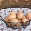 chicken-wire-egg-basket