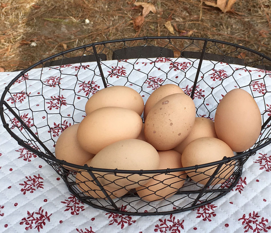 chicken-wire-egg-basket